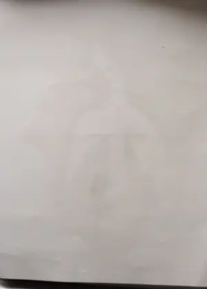 Georges Braque - Liberté, l'envol kopen? Bied vanaf 80!