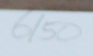 Hans Spiegeler - Zeefdruk - 2000 kopen? Bied vanaf 85!