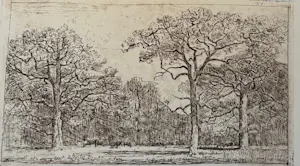 Theo Goedvriend - Door de bomen het bos - vijfzes etsen kopen? Bied vanaf 50!