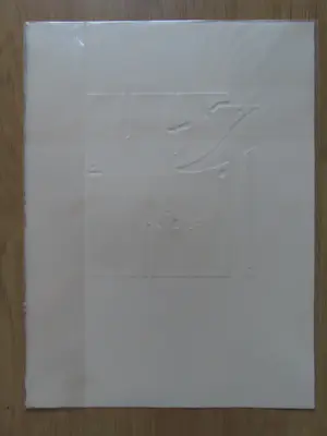 Renee Lubarow - Les cascadeurs de l'aube kopen? Bied vanaf 20!