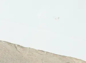 Alexander Vogels - Carborundum, Les Gardiens du Temple - Ingelijst (Groot) kopen? Bied vanaf 50!