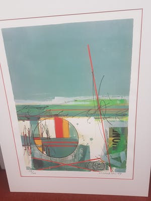 Sam Middleton - Prachtige zeefdruk puntgaaf kopen? Bied vanaf 75!