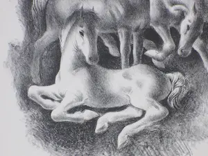 Ge Roling - Veulens - Litho kopen? Bied vanaf 1!