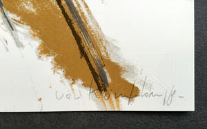 Ineke van Koningsbruggen - Vogel kopen? Bied vanaf 24!