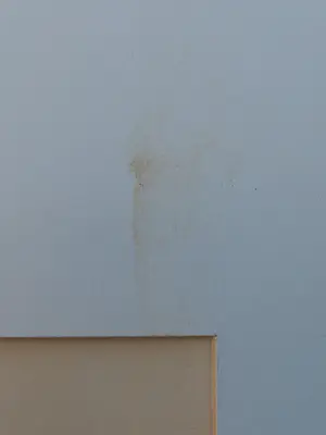 Andre Tigchelaar - eendjes kopen? Bied vanaf 74!