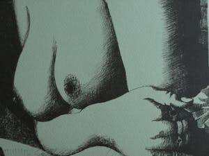 Nicolaas Wijnberg - Litho , Borsten – bijlage tijdschrift Petit No 4 - 1980 kopen? Bied vanaf 30!