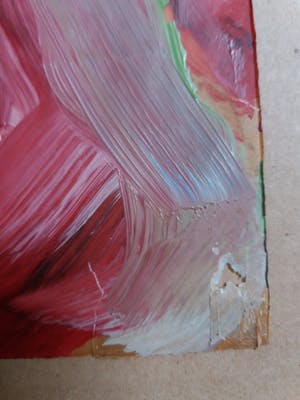 Jet van Oosten - Rozen kopen? Bied vanaf 1!