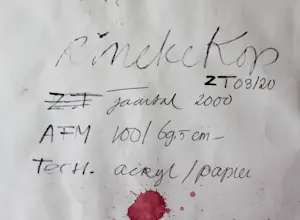 Rineke Kop - Zonder titel (03120) kopen? Bied vanaf 80!