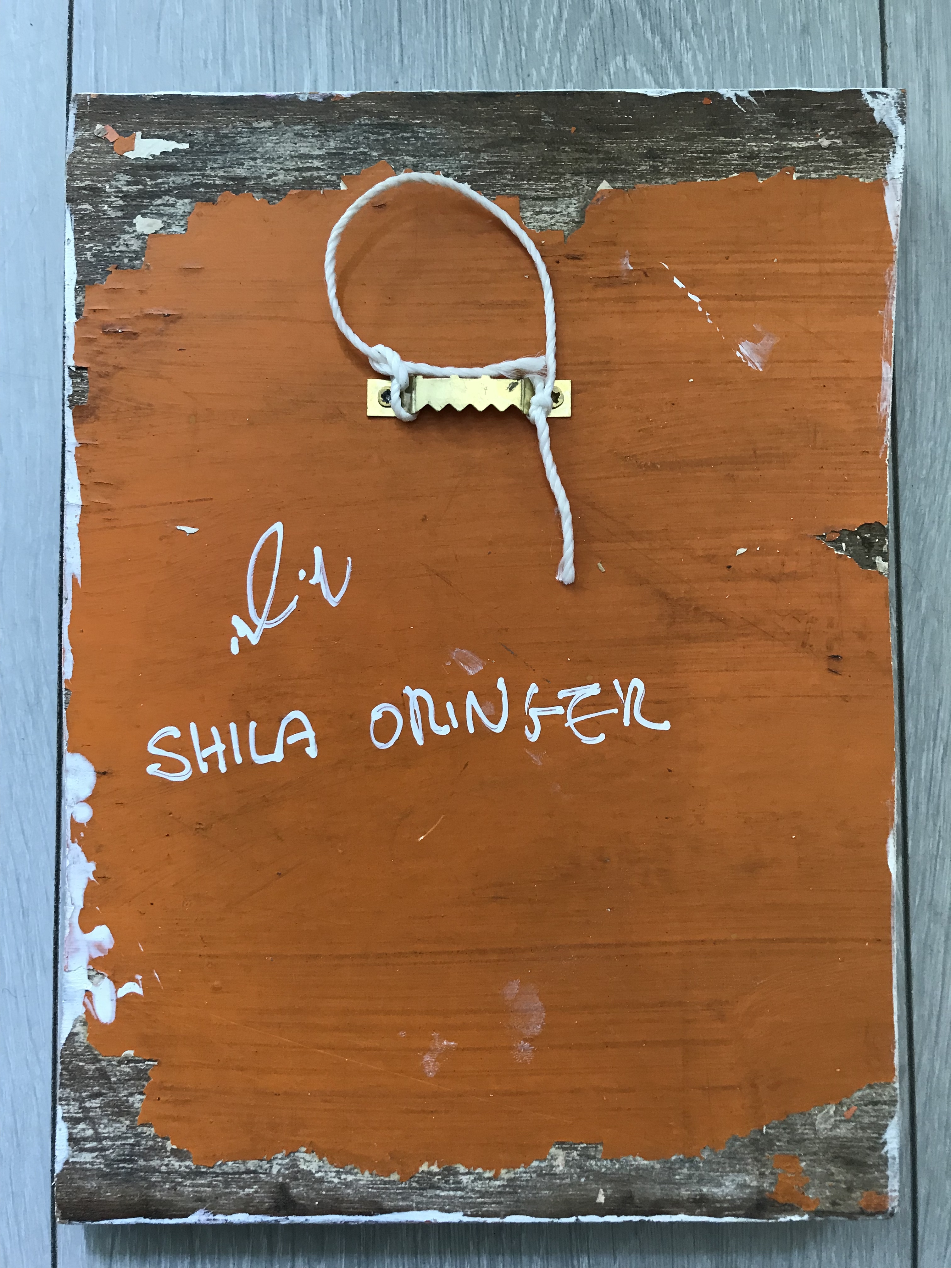 Shila Oringer - Collage op hout - Overland Spirit kopen? Bied vanaf 90!