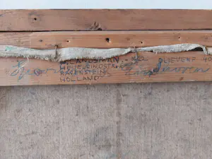 Dirk Landsman - Dode duif kopen? Bied vanaf 50!