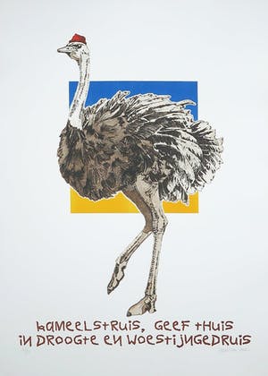 Els Maasson - Ets, Kameelstruis kopen? Bied vanaf 1!