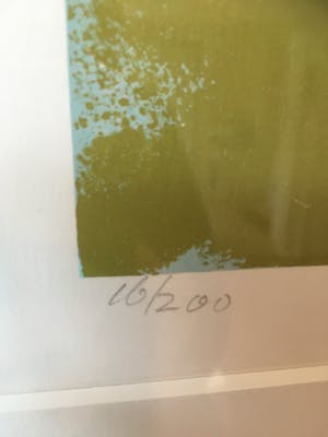 Henk van Vessem - Vredesduif kopen? Bied vanaf 40!