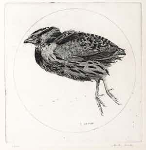 Charles Donker - Ets, Kwartel verkocht voor € 140!