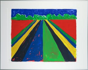 Cees Dolk - Litho, Tulpen & zo - Ingelijst kopen? Bied vanaf 20!