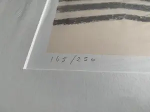 Peter Bes - Set van 4 zeefdrukken kopen? Bied vanaf 120!