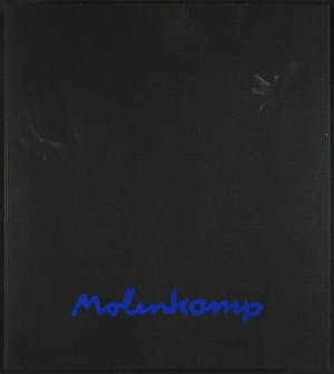 Nico Molenkamp - Luxe cassette met gesigneerd boek en drie zeefdrukken kopen? Bied vanaf 70!