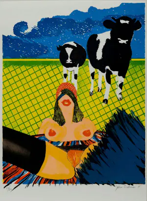 Jan Cremer - Complete portfolio map met 6 gesigneerde litho's - 1975 kopen? Bied vanaf 1799!