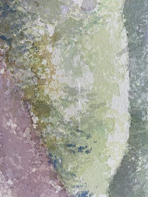 Nico Schelvis - Bloeiende fruitbomen bij Alden Biesen kopen? Bied vanaf 150!