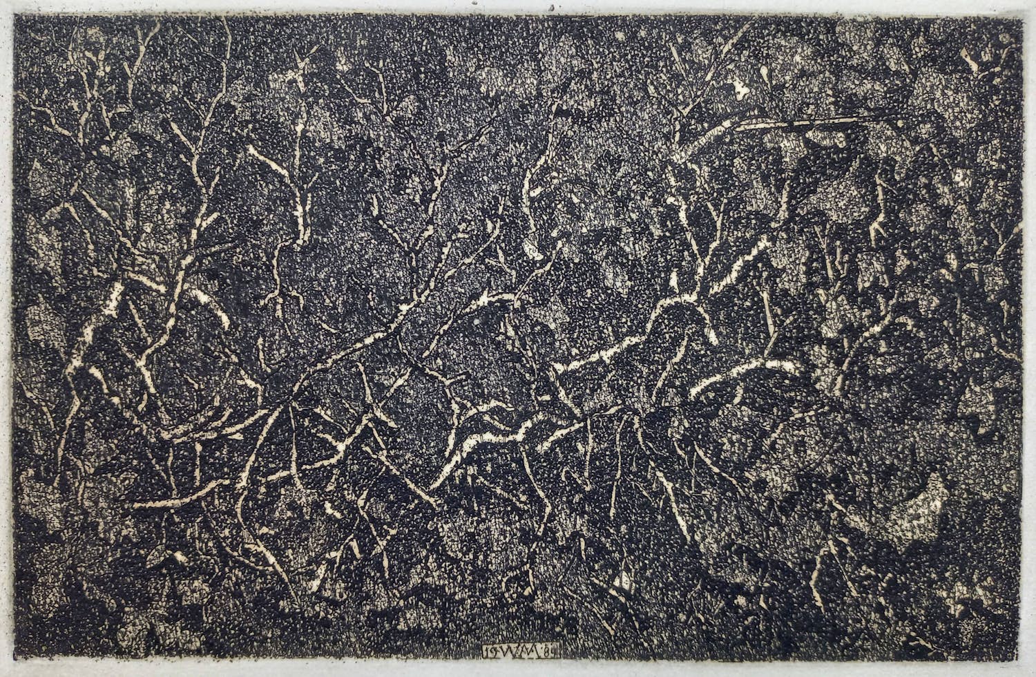 Willem Minderman - Planten, ets kopen? Bied vanaf 45!