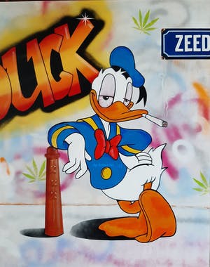 Dick Preesman - Donald Drug kopen? Bied vanaf 95!