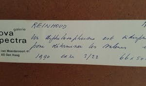 Reinhoud D'Haese - Les Valeurs de Culture kopen? Bied vanaf 195!