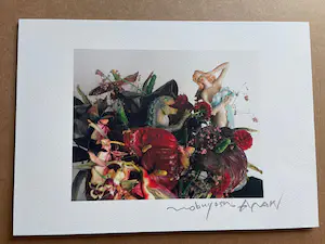Nobuyoshi Araki - Flower / doll kopen? Bied vanaf 840!