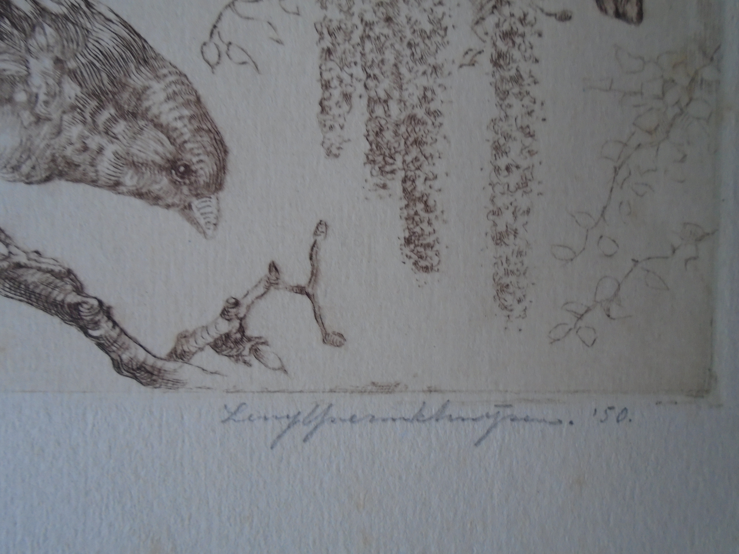 Leny IJserinkhuijsen - Mussen kopen? Bied vanaf 20!