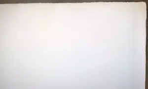 Peter Vos - Schiereiland melancholie- gesigneerde litho kopen? Bied vanaf 70!