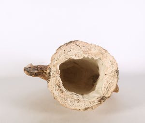 Eva Jorritsma-Thone - Aardewerk, Balanceren kopen? Bied vanaf 70!