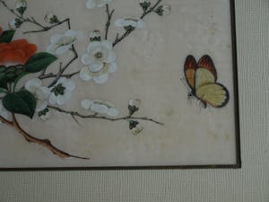 Niet of onleesbaar gesigneerd - 2 Oude ingelijste gouaches (?) op papier , Vlinders kopen? Bied vanaf 1!