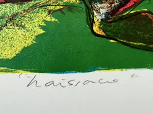 Jacqueline de Jong - NAISSANCE kopen? Bied vanaf 75!