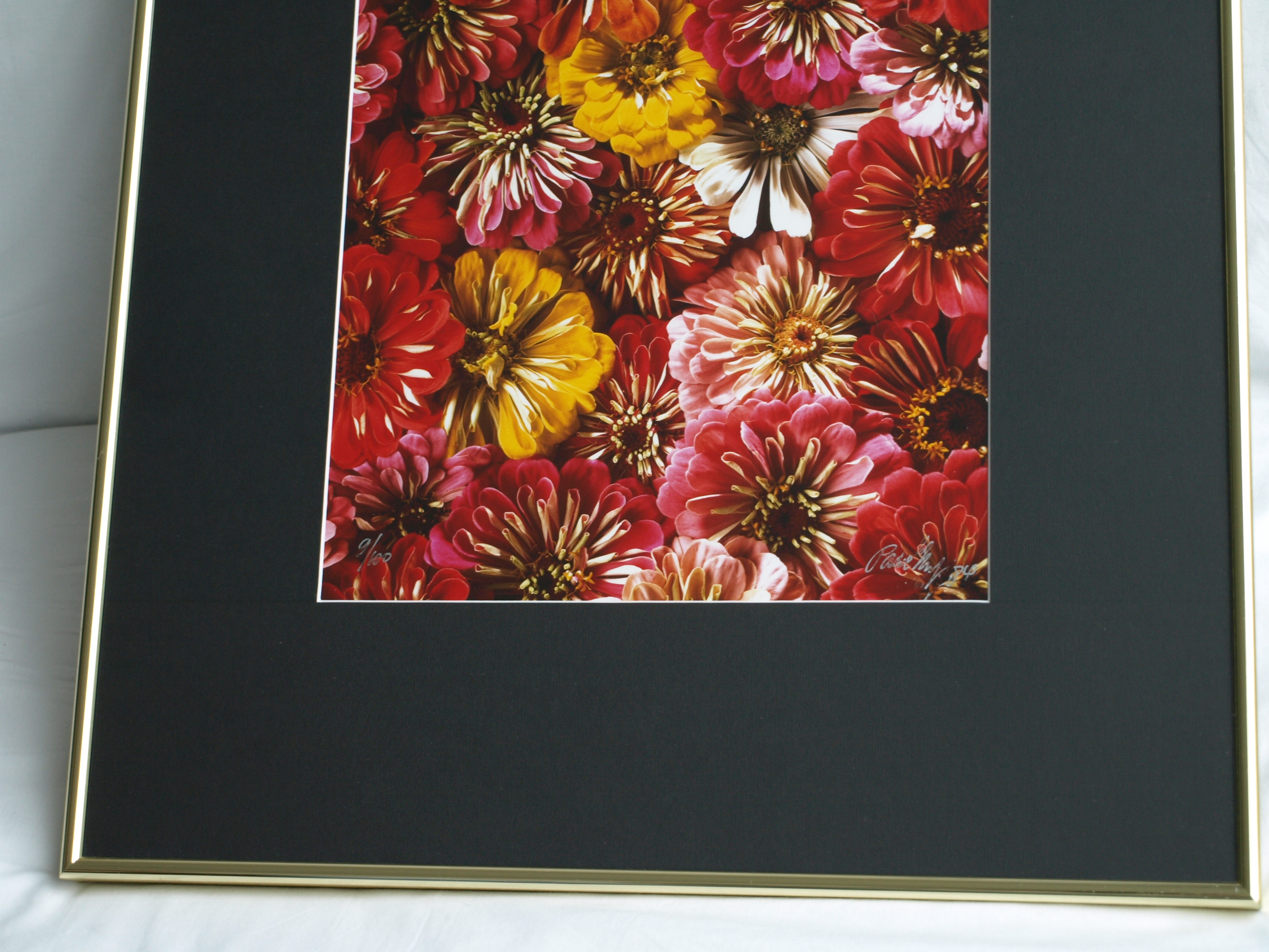 Paul Huf - Foto , Flowers , Bloemen – gesigneerd & ingelijst - 1984 - 60 x 50 cm kopen? Bied vanaf 75!