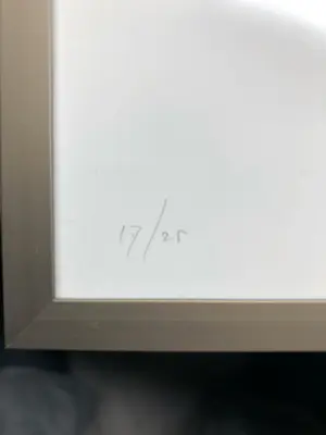 Henk Visch - Litho 1991 kopen? Bied vanaf 65!