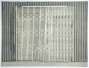 Siet Zuyderland - Hekwerk, litho kaufen? Bieten Sie von 85!