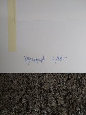 Gerd Renshof - Zeer gedetailleerd realistisch stilleven kopen? Bied vanaf 75!