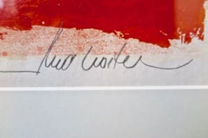 Theo Koster - Fullness of Life -gemengde techniek -prof. ingelijst (zuurvrij)- PRIJS VERLAAGD kopen? Bied vanaf 39!