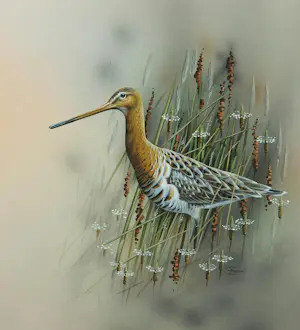 Jan Weenink - Gouache, Grutto - Ingelijst kopen? Bied vanaf 200!