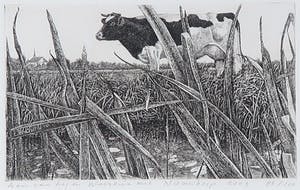 Han van Hagen - Ets, Weerzien met Nieuwkoop kopen? Bied vanaf 70!