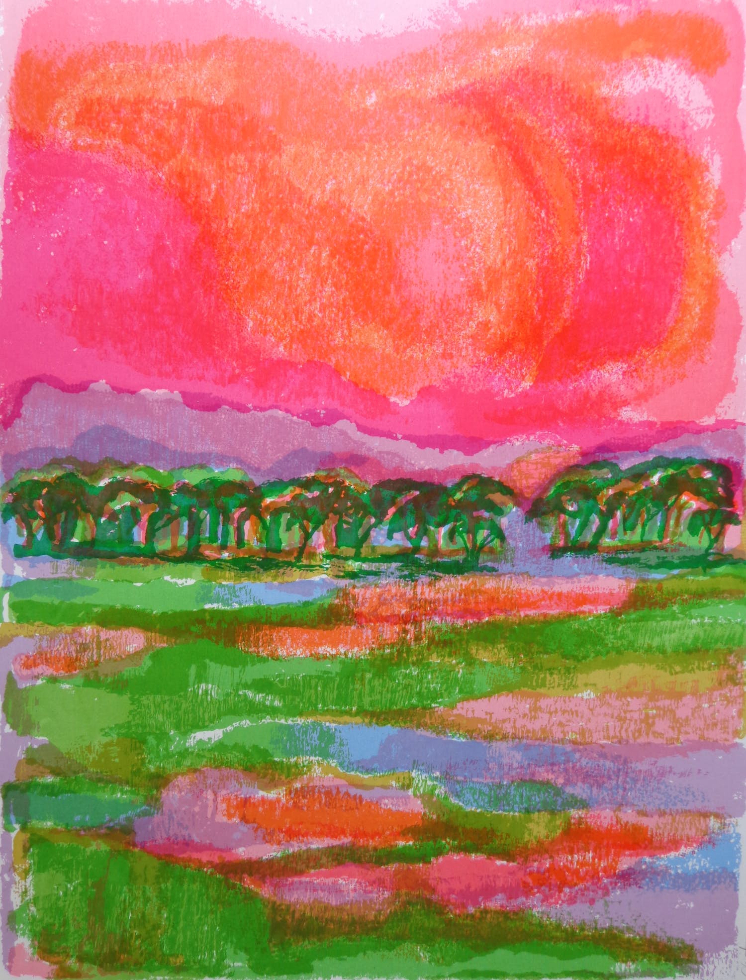 Ronald Julius Christensen - AFRICAN SKY / KLEURLITHO / 76x56cm / SIG kopen? Bied vanaf 25!