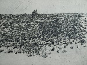 Fred Fritschij - Ingelijste ets , Landschap III – gesigneerd – 1971 – nr 4 van 8 kopen? Bied vanaf 42!