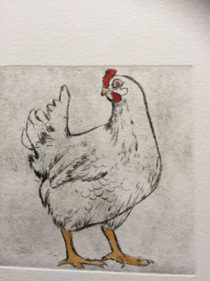 Martien Versteegen - Kippen kopen? Bied vanaf 35!