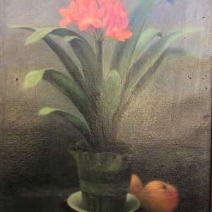 Niet of onleesbaar gesigneerd - Clivia in bloei kopen? Bied vanaf 1!