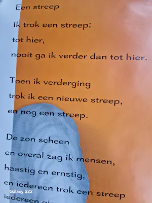 Marjolijn Mandersloot - Een Streep kopen? Bied vanaf 25!