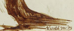 Katelijne Wortel - Inkttekening op papier, Zonder titel kopen? Bied vanaf 1!