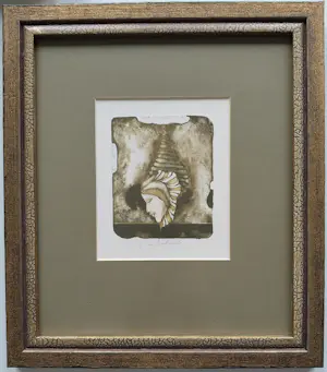 Vladimir Suchanek - lot van 4 stuks ingelijste gesigneerde litho’s kopen? Bied vanaf 79!