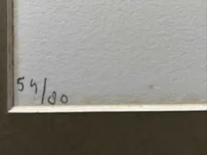 Sam Drukker - Vrouwen kopen? Bied vanaf 95!