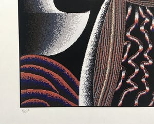 Shinkichi Tajiri - zeldzame knoop - gesigneerde computerprint - incl. originele bewaarmap kopen? Bied vanaf 150!