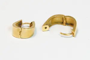 30 - 18 karaats paar geelgouden scharnierende oorclips kopen? Bied vanaf 280!