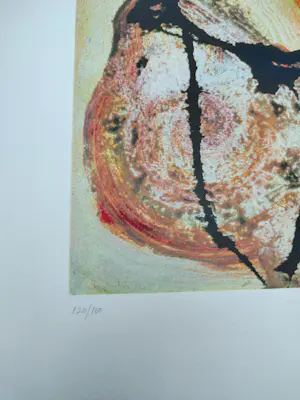 Jan te Wierik - Set van 3 zeefdrukken kopen? Bied vanaf 225!