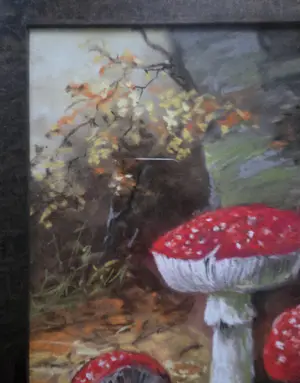 Henriette Hubregtse-Lanzing - Paddestoelen. Vliegenzwammen. kopen? Bied vanaf 89!